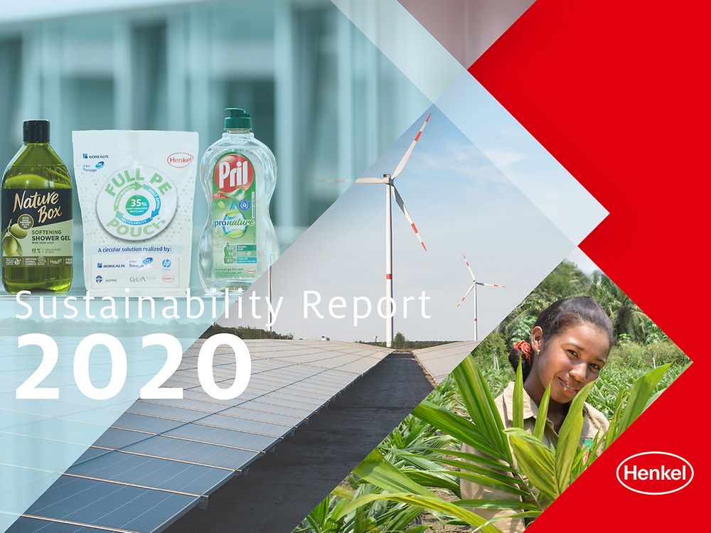 Izveštaj o održivosti za 2020. Godinu (Cover)