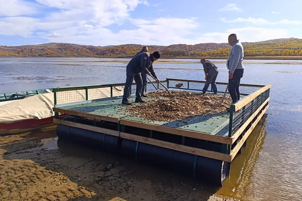 Na Vlasinskom jezeru postavljen splav za gnežđenje čigri