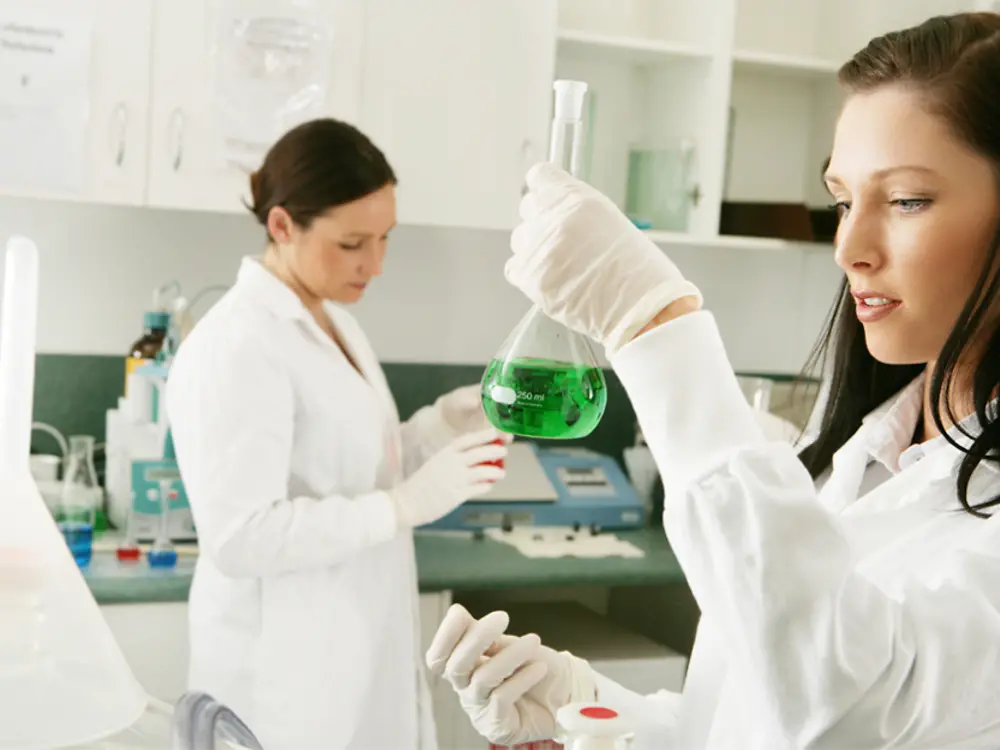 Persil-Forschung-Entwicklung