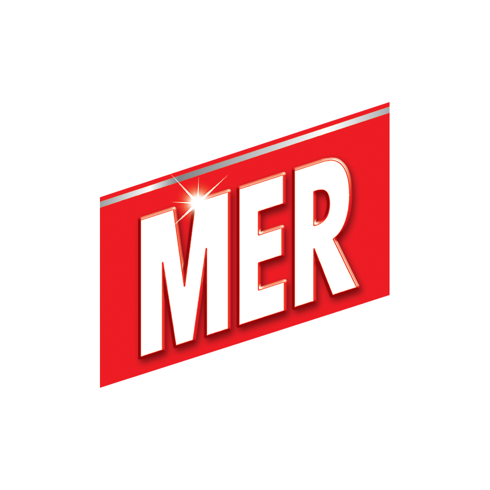 mer-logo.png