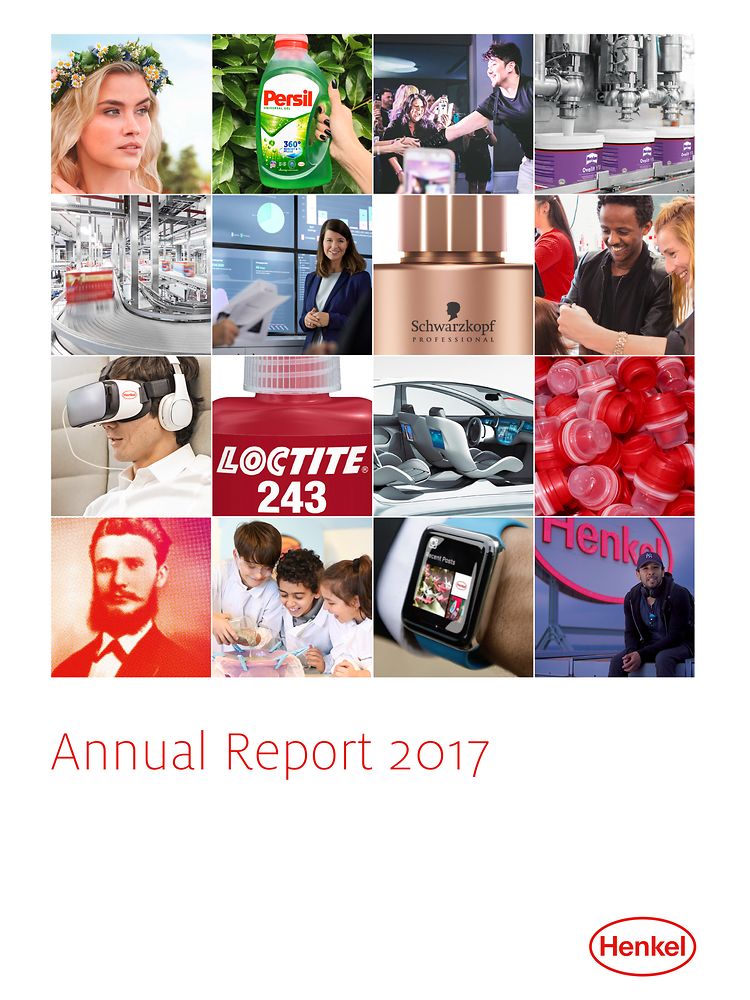 Godišnji izveštaj 2017 (Cover)