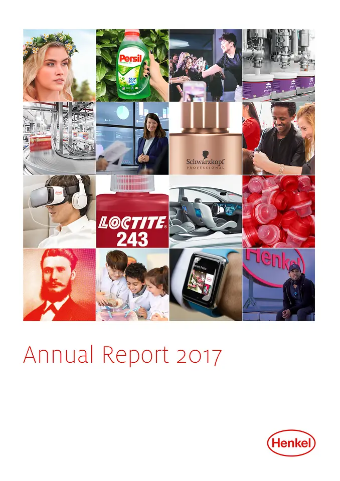 Godišnji izveštaj 2017 (Cover)