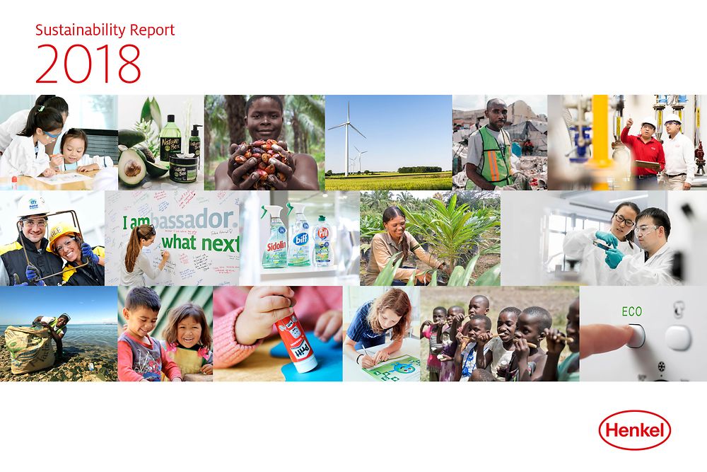 Izveštaj o održivosti za 2018. Godinu (Cover)