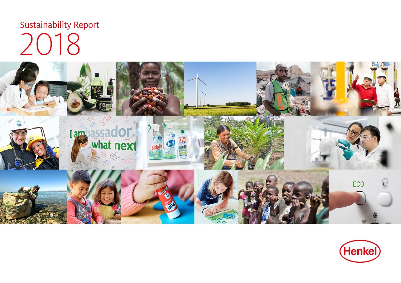 Izveštaj o održivosti za 2018. Godinu (Cover)